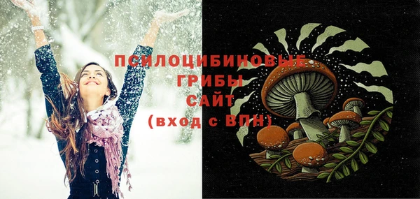 СК Володарск