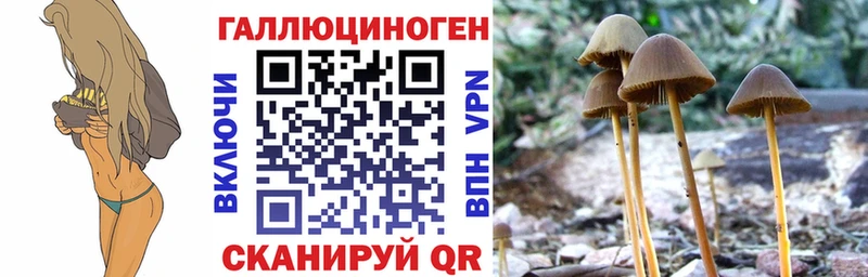 Галлюциногенные грибы Psilocybe  Купить  Кувандык 