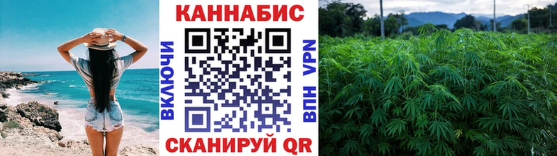 Купить  Кувандык  Бошки Шишки White Widow 